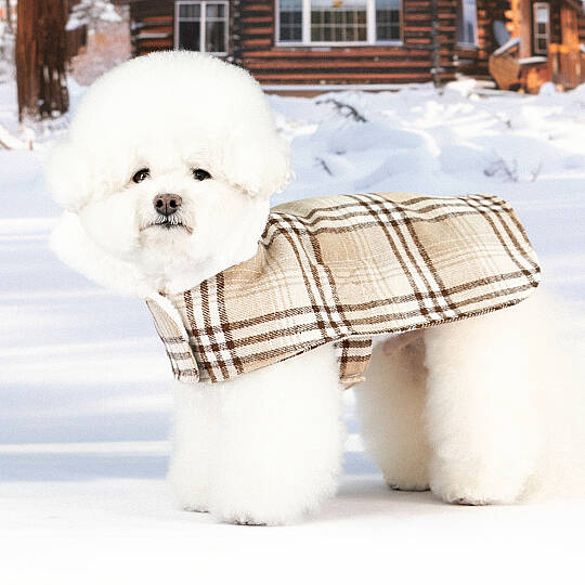 WINDSOR COAT / BEIGE - 5