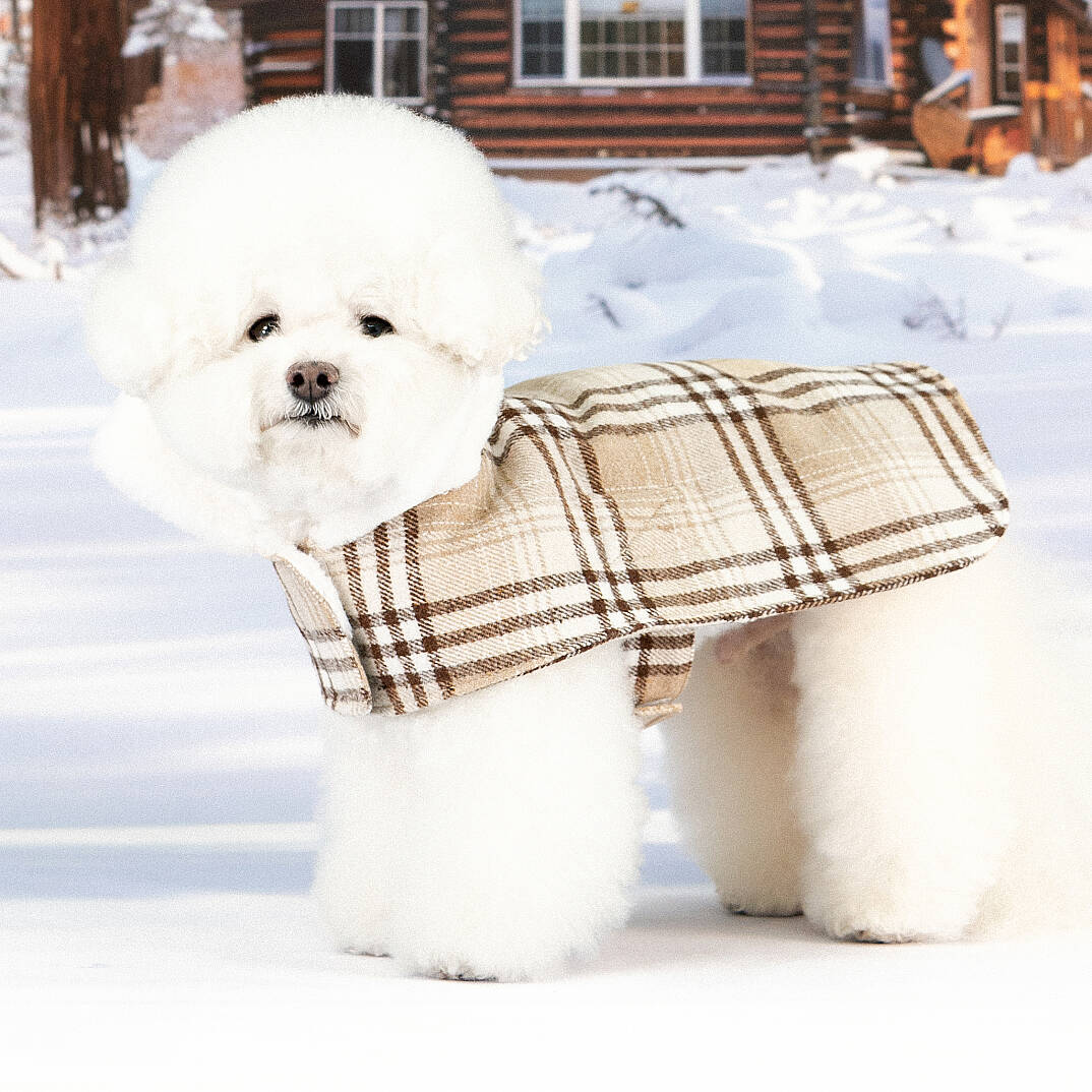WINDSOR COAT / BEIGE - 5