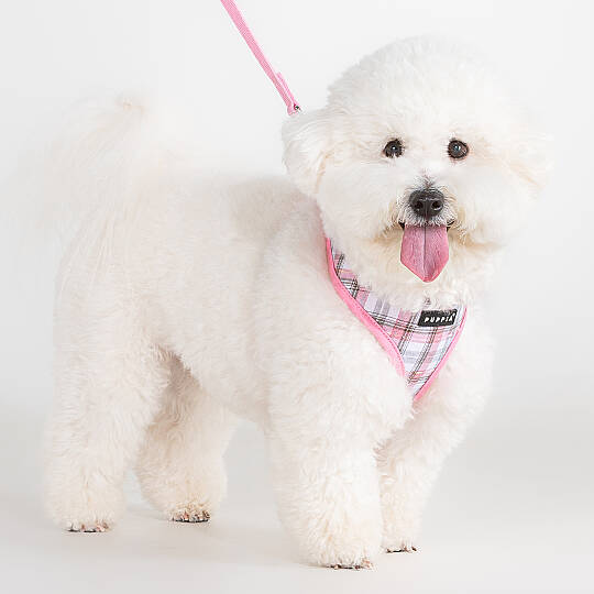 WINDSOR HARNESS A / PINK - 4