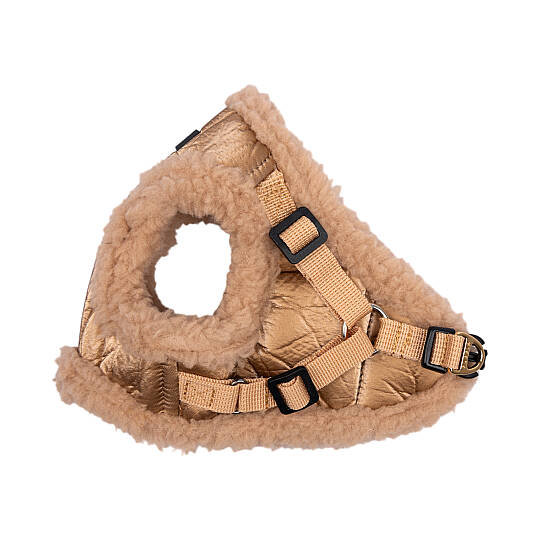 WINTERSTRIDE HARNESS NB PAZD-HNB2265-BE - 3