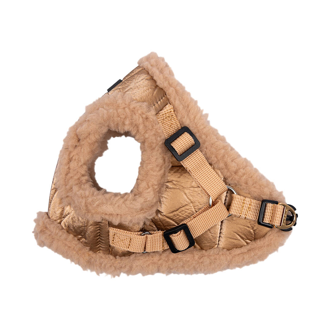 WINTERSTRIDE HARNESS NB PAZD-HNB2265-BE - 3