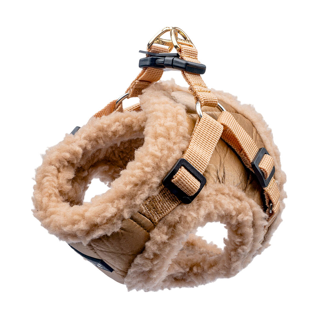 WINTERSTRIDE HARNESS NB PAZD-HNB2265-BE - 4
