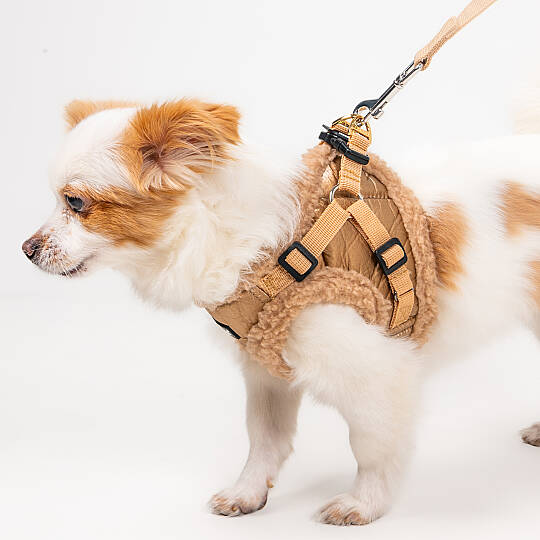 WINTERSTRIDE HARNESS NB PAZD-HNB2265-BE - 7
