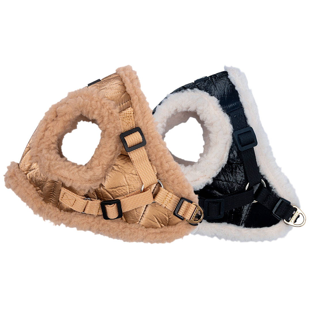 WINTERSTRIDE HARNESS NB PAZD-HNB2265-BK - 9