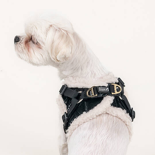 WINTERSTRIDE HARNESS NB PAZD-HNB2265-BK - 5