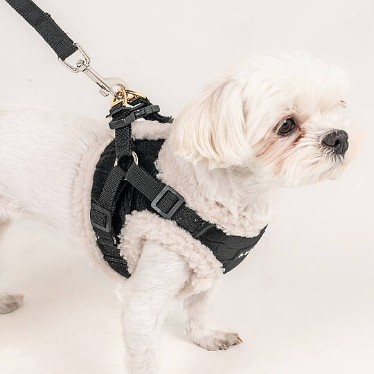 WINTERSTRIDE HARNESS NB PAZD-HNB2265-BK - 6