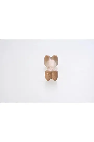 Wood Powder Bone – Doğal Ahşap Tozu Köpek Çiğneme Kemiği - 2