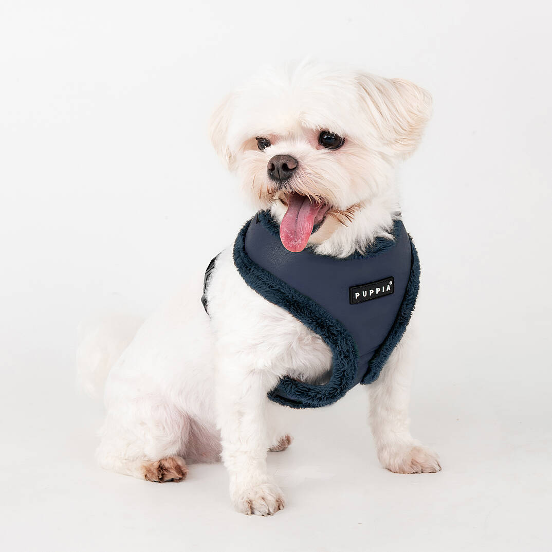 WYNTER HARNESS A PAZD-HA2266-NY - 4