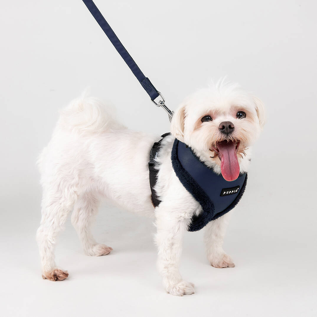WYNTER HARNESS A PAZD-HA2266-NY - 5