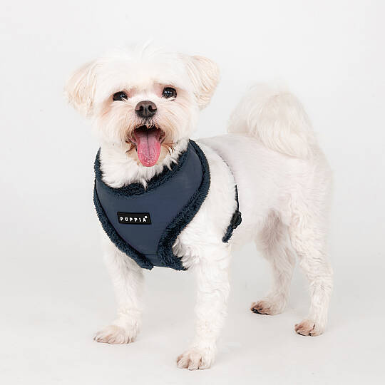 WYNTER HARNESS A PAZD-HA2266-NY - 6