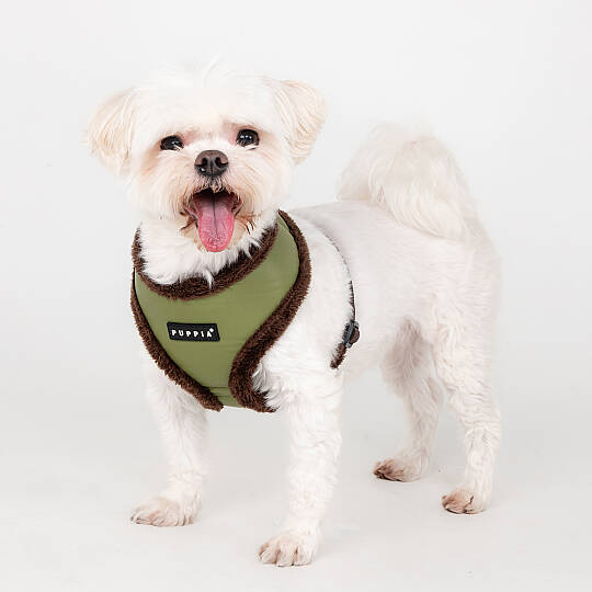 WYNTER HARNESS A PAZD-HA2266-OL - 4