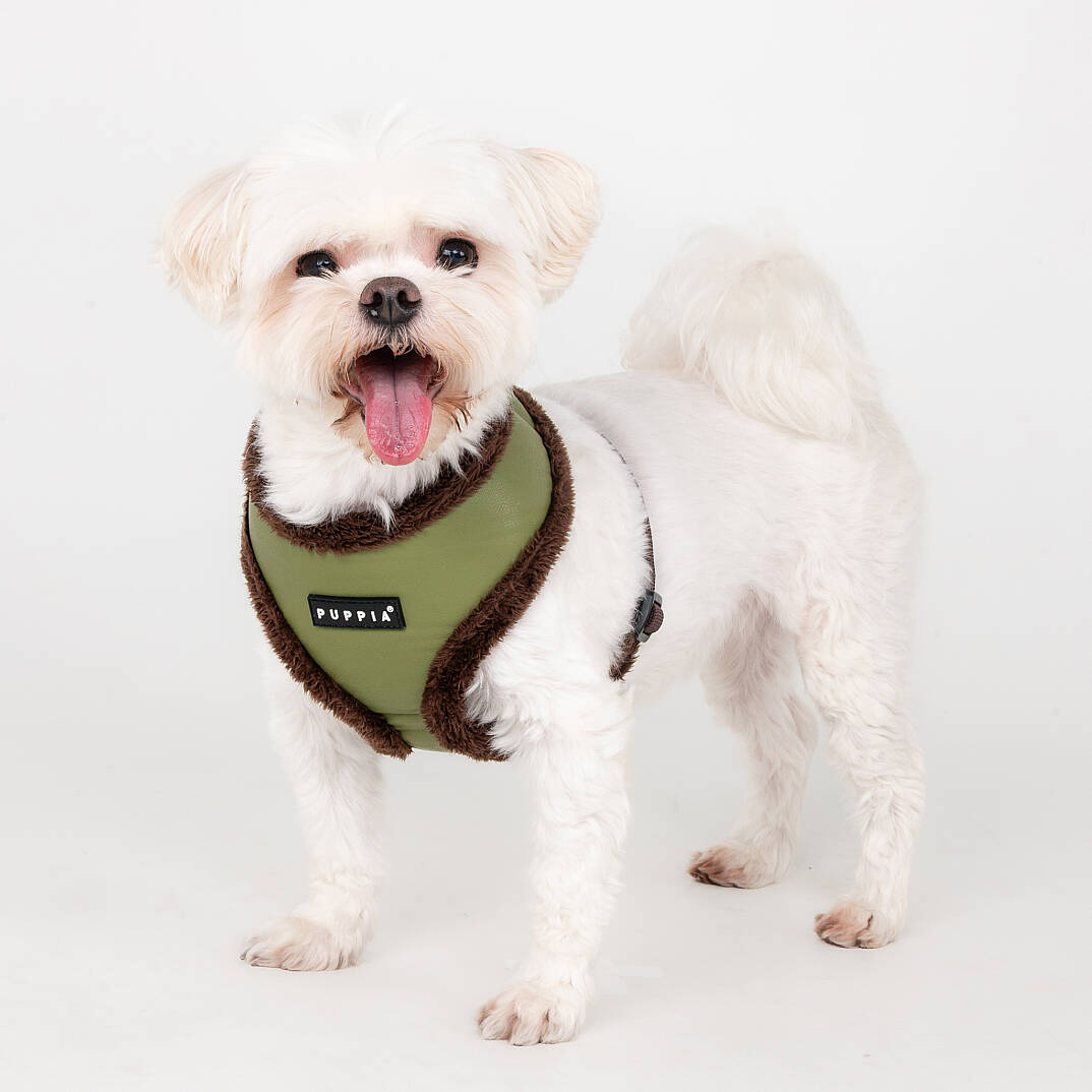 WYNTER HARNESS A PAZD-HA2266-OL - 4
