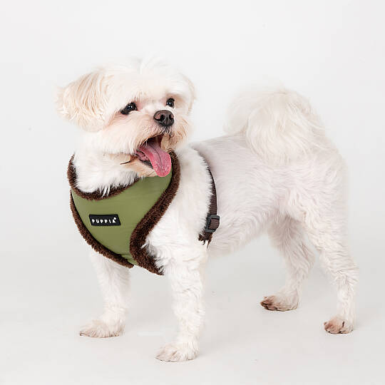 WYNTER HARNESS A PAZD-HA2266-OL - 5