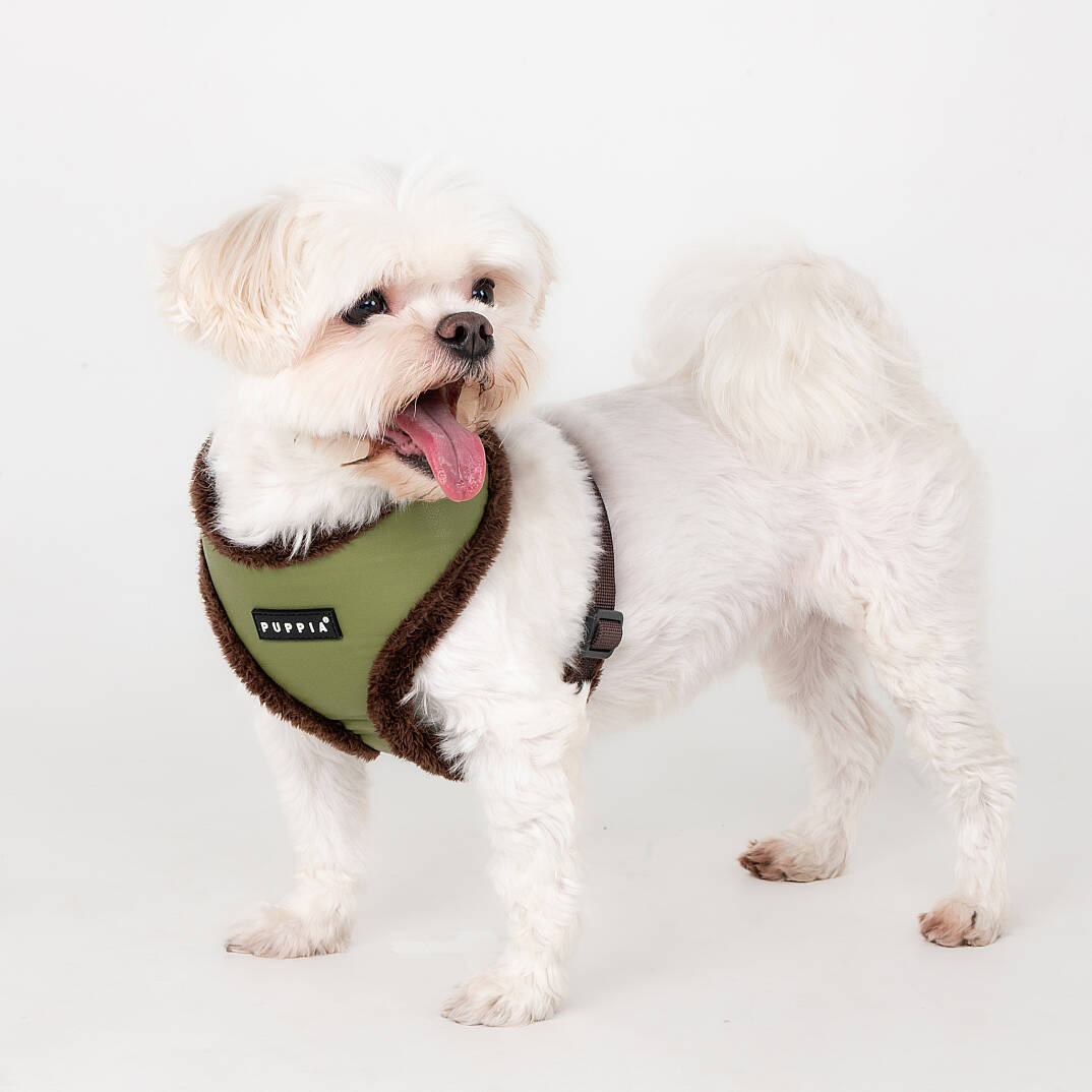 WYNTER HARNESS A PAZD-HA2266-OL - 5
