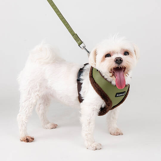 WYNTER HARNESS A PAZD-HA2266-OL - 6