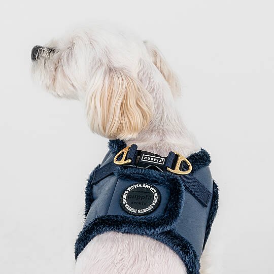 WYNTER HARNESS B PAZD-HB2266-NY - 6