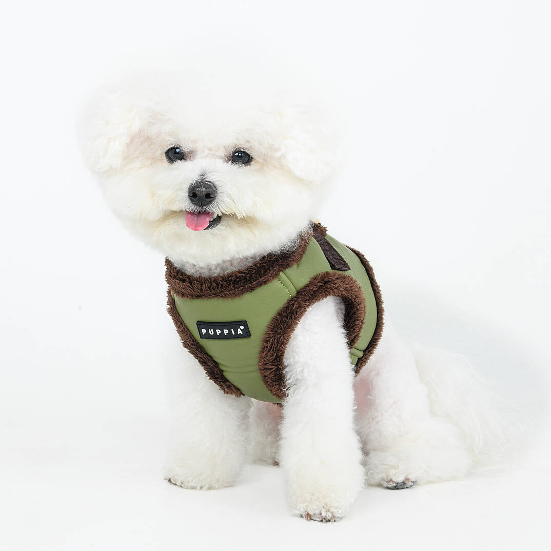 WYNTER HARNESS B PAZD-HB2266-OL - 6