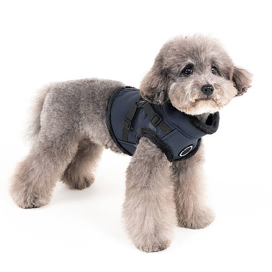 WYNTER HARNESS V PAZD-HV2266-NY - 6