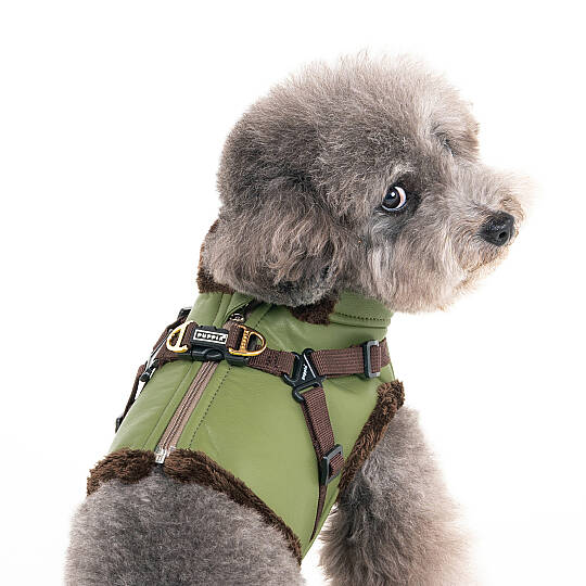 WYNTER HARNESS V PAZD-HV2266-OL - 6