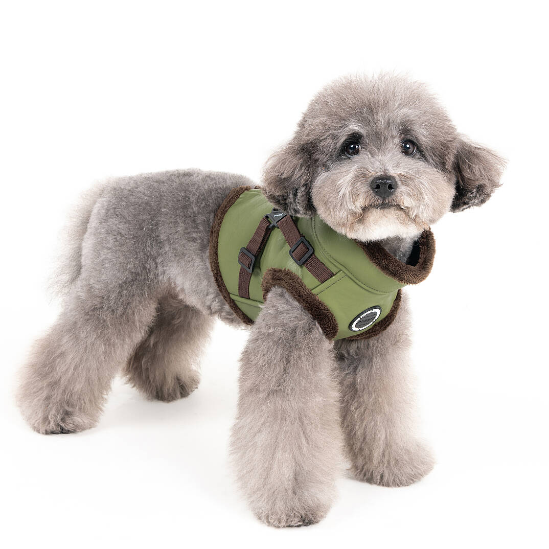 WYNTER HARNESS V PAZD-HV2266-OL - 7