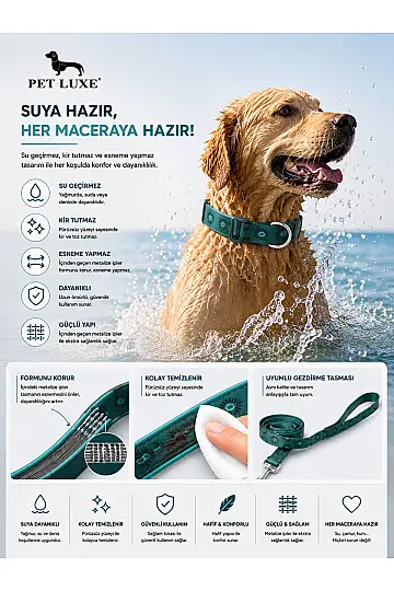 Yumuşak Kaplamalı Ayarlanabilir Köpek Boyun Tasma Seti Esneme Yapmaz, Kir ve Koku Tutmaz - 2