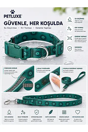 Yumuşak Kaplamalı Ayarlanabilir Köpek Boyun Tasma Seti Esneme Yapmaz, Kir ve Koku Tutmaz
