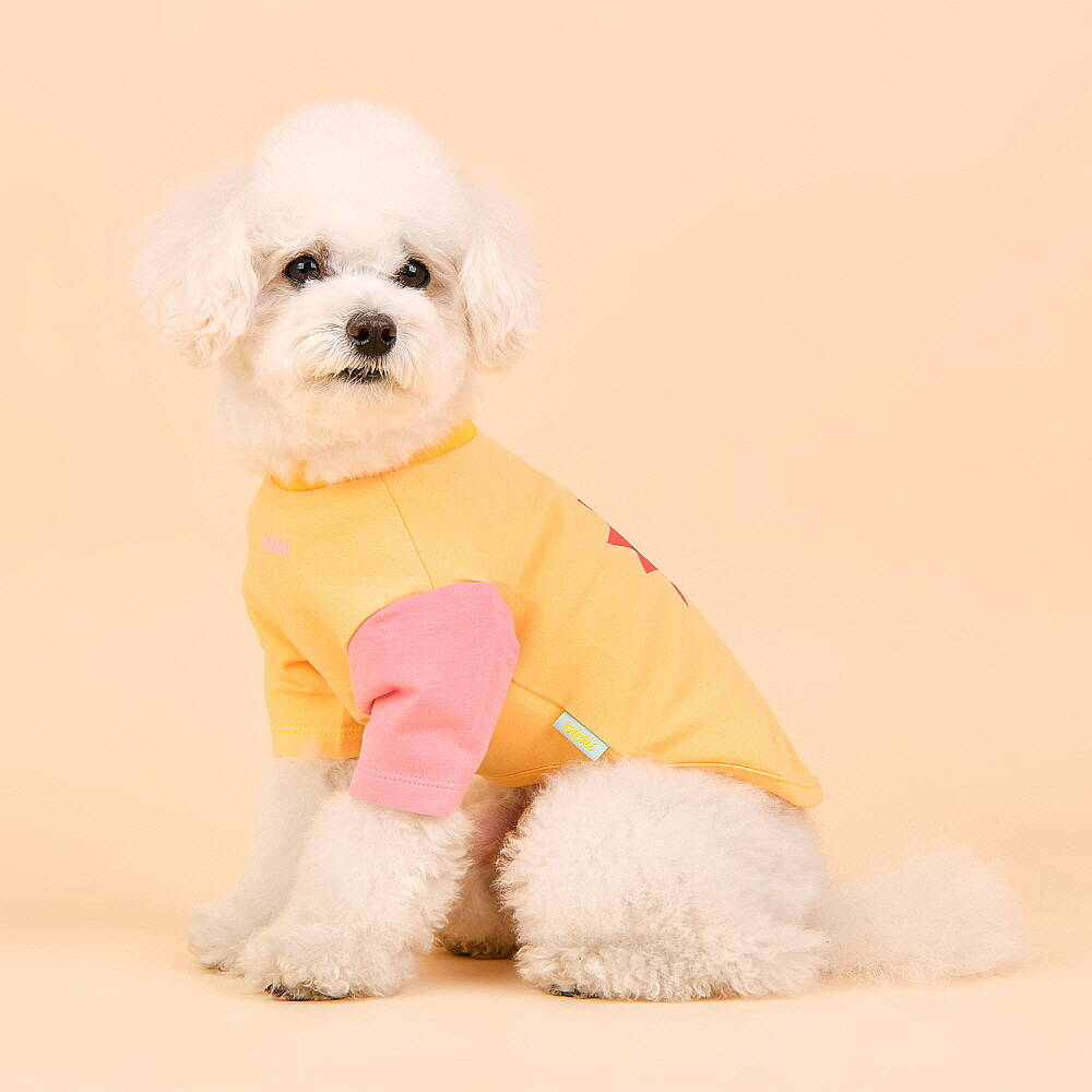 YUMMY / YELLOW - 6