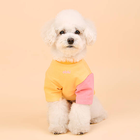 YUMMY / YELLOW - 7