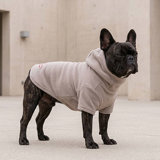 ZENI/BEIGE - 5